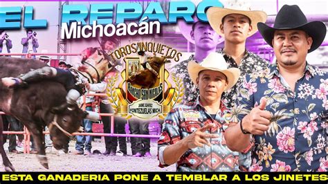 De Los Mejores Toros De Michoac N Rancho San Nicolas En El Reparo