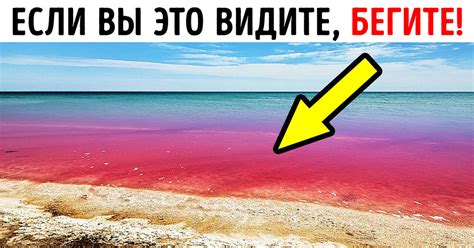 Если вода стала кроваво-красной, не входите в нее! / AdMe