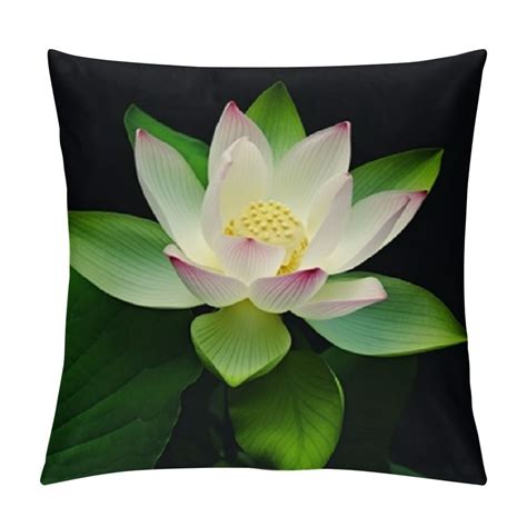 Jeuxus Throw Pillow Cover Lotus Flowers Watercolor Summer Floral