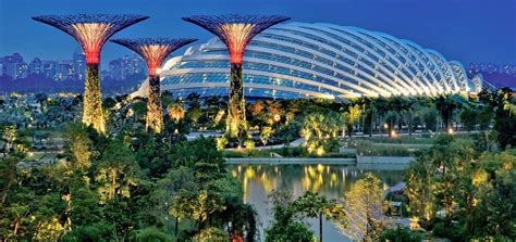 Inside Singapores Flower Dome FlowerAdvisor Singapore Blog