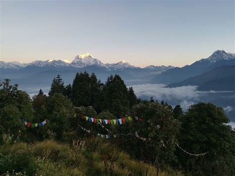 Abc Trek And Tour Pokhara All You Need To Know Before You Go