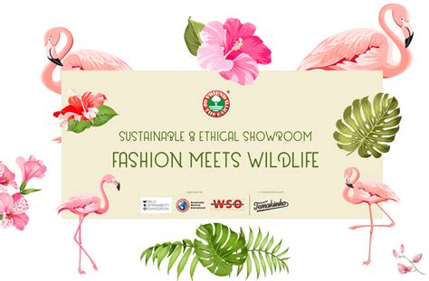 World Sustainability Organization S Ethical And Sustainable Showroom