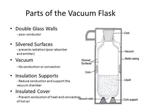 Diagram Vacuum Flask Labeled Parts Stock Vector Royalty Off