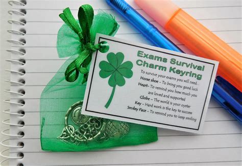 Exams Survival Charm Keyring Handmade Good Luck T For Etsy Uk