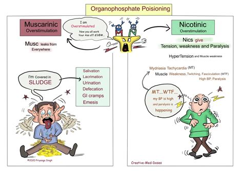 Organophosphate Poisoning - Creative Med Doses