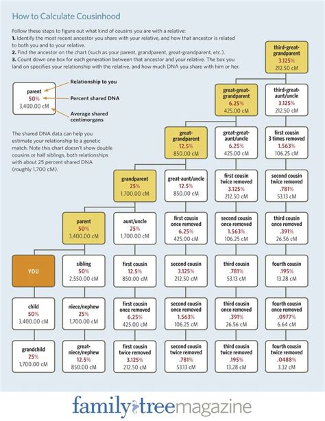 Understanding and Applying Your DNA Test Results | Dna test results, Cousin relationships, Dna test