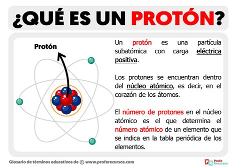 Qu Es Un Prot N Definici N Y Explicaci N