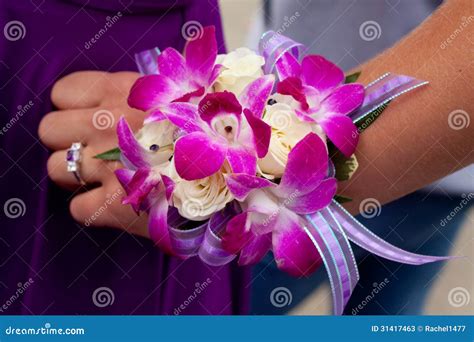 Purple And Pink Prom Corsage Stock Image Image Of Prom Flower 31417463