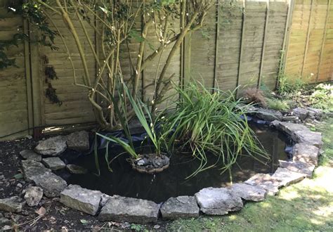 How To Make A Wildlife Pond In Your Garden Garden Likes