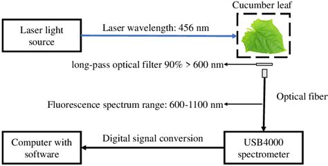 Schematic Diagram Of Laser Induced Chlorophyll Fluorescence