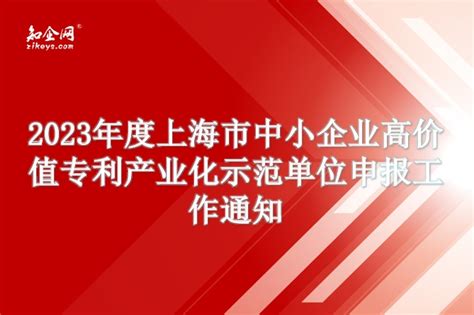 2023年度上海市中小企业高价值专利产业化示范单位申报工作通知知企网