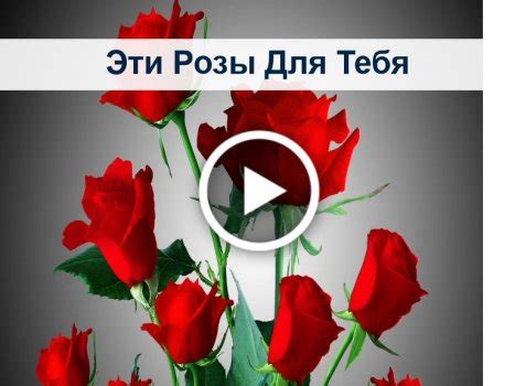 Открытки букеты из роз или просто одиночные розы