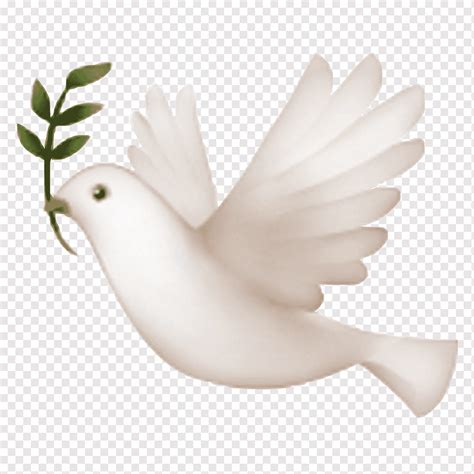 Dove Vector Isolated White Bird Cartoon Style Emoji 51 Off