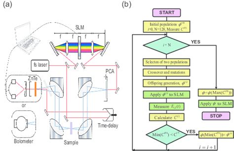 A Schematic Experimental Diagram Of Thz Pulse Shaping With A Spatial