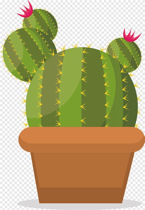 Prickly Pear Cactaceae Green Cactus Cactus Green Vector Png Pngegg