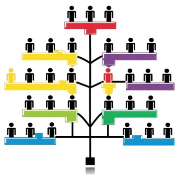 Structure Organization Business Workflow Chart Diagram Job Description ...