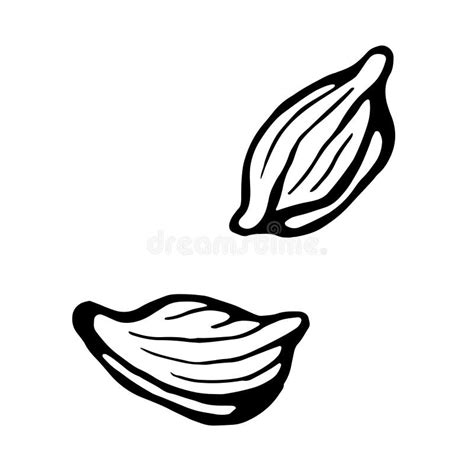 Cardamom Isolated Logo Icon White Silhouette Vector Stock Vector