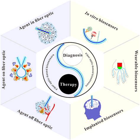 Advance On Fiber Optic‐based Biosensors For Precision Medicine From