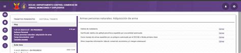 5 Carga documentación Manuales SIAEM 2 0