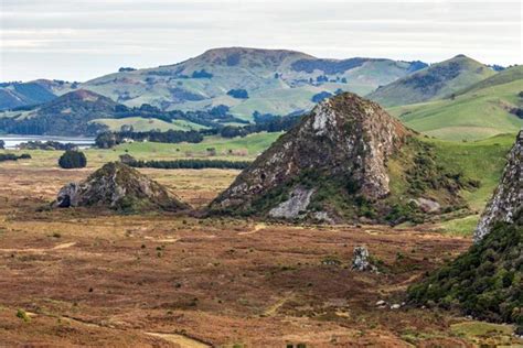 The White Tangata Whenua Maori Legend Nexus Newsfeed