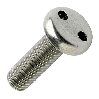 Security Screws Specially Designed Fasteners For Tamper Resistance