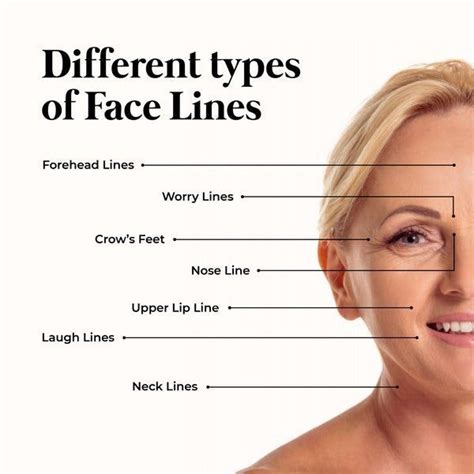 Different Types Of Face Lines By Sublime Life How To Line Lips