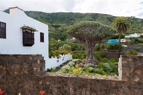 Maravíllate con los Miradores de Tenerife en Coche Rusticar