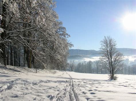 Övervintra Landskapet Med Vägskogen Och Blå Himmel Vintrig Bana Frostig