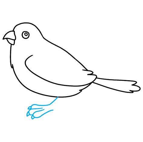 How To Draw A Sparrow Really Easy Drawing Tutorial