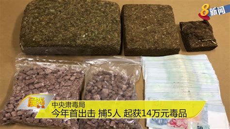 中央肃毒局今年首出击 捕5人 起获14万元毒品 Youtube