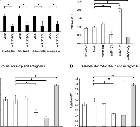 MiR 339 3p Inhibits Melanoma Invasion In Vitro Melanoma Cell Lines