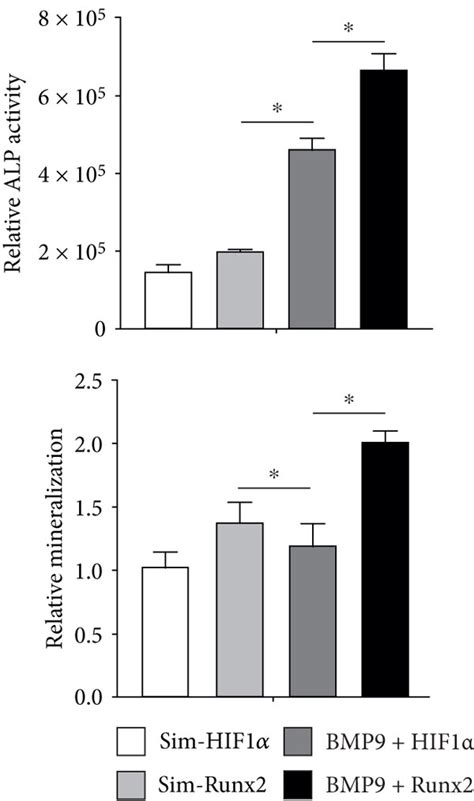 Silencing Hif1α And Runx2 Effectively Diminishes The Bmp9 Induced Early