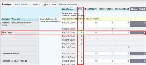 How To Create Matrix Report In Salesforce SalesForce FAQs