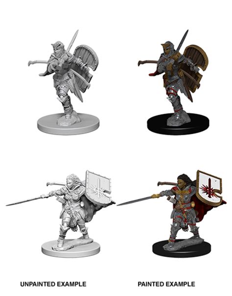Human Paladin