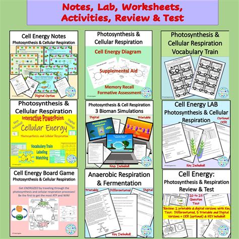 Photosynthesis Cellular Respiration Biology Unit Bundle Made By