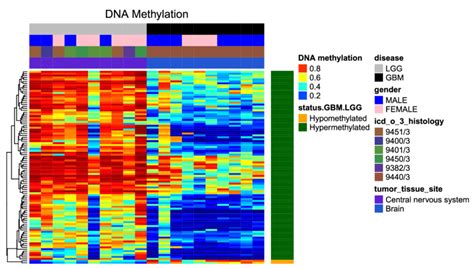 Heatmap Of Dna Methylation In Probes Rows Are Probes And Columns Are