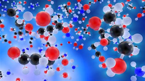 Macromoléculas características tipos funciones y ejemplos