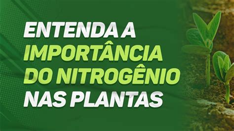 Entenda a IMPORTÂNCIA do NITROGÊNIO para as PLANTAS YouTube