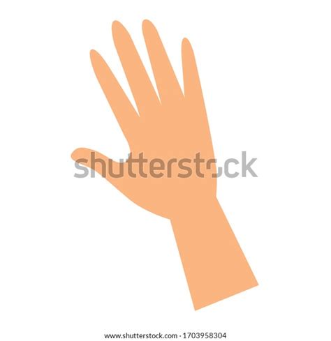 Open Hand Human Palm Fingers Isolated Stock Vector Royalty Free