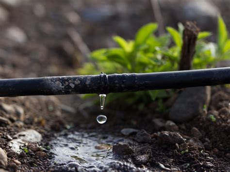 La estrecha y vital relación suelo agua planta AIANER Asoc