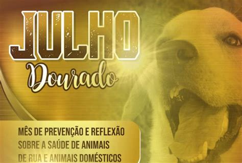 Julho Dourado alerta para a prevenção e reflexão sobre a saúde dos