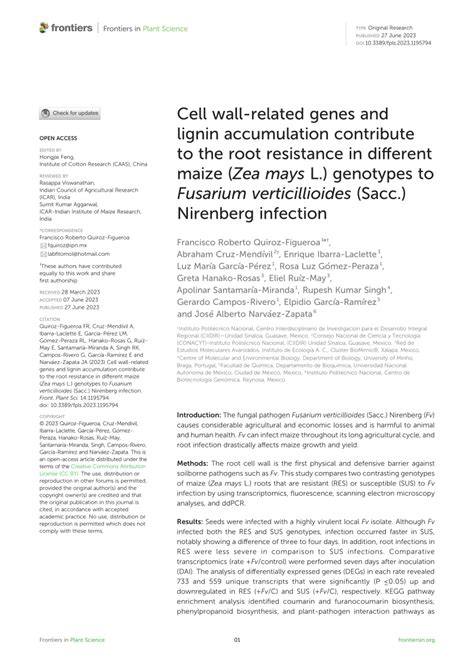 PDF Cell Wall Related Genes And Lignin Accumulation Contribute To The