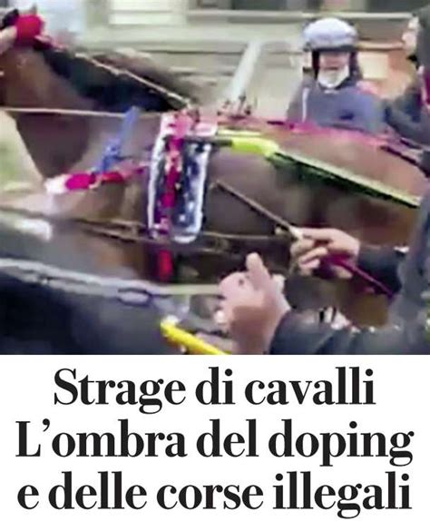 Repubblica Palermo Strage Di Cavalli Lombra Del Doping E Delle