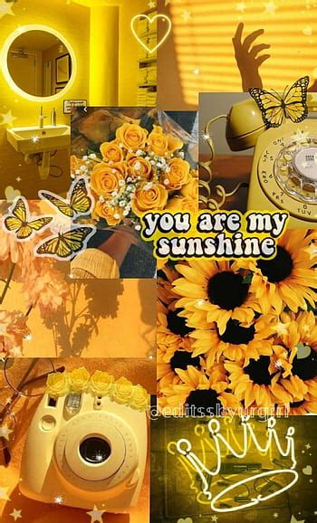 Sunflower Aesthetic Collage Wallpapers Wallpaper Cave 60 Off