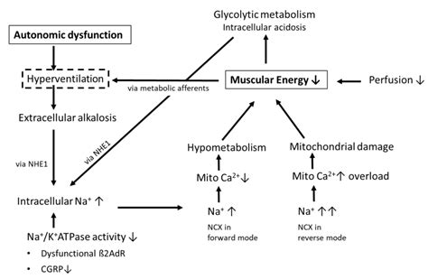 Hyperventilation Could Be Associated With All Of The Following Except