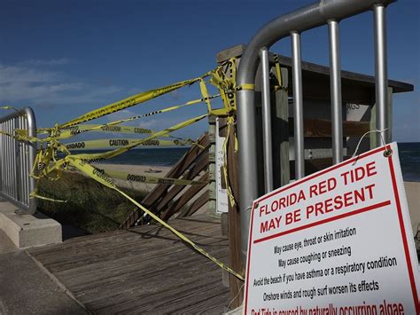 Red Tide Cleanup Forces Closure Of Portion of Dunedin Beach | Dunedin, FL Patch