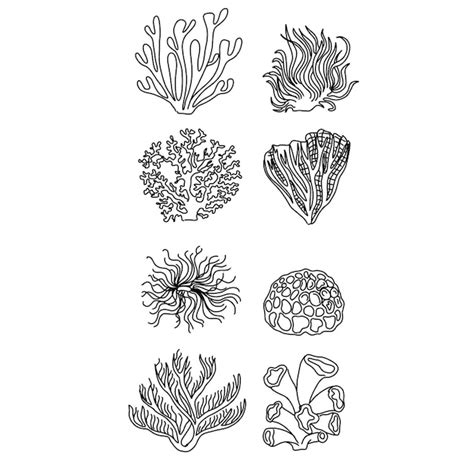 Premium Vector Seaweed Illustration Sea Vector Water Marine Ocean