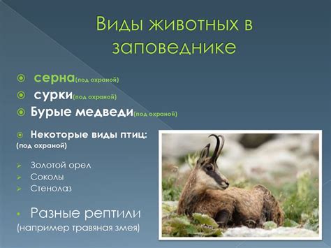 Татранский национальный парк - презентация онлайн