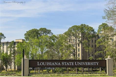 20 Must Know Facts About Lsu A World Class University Discover