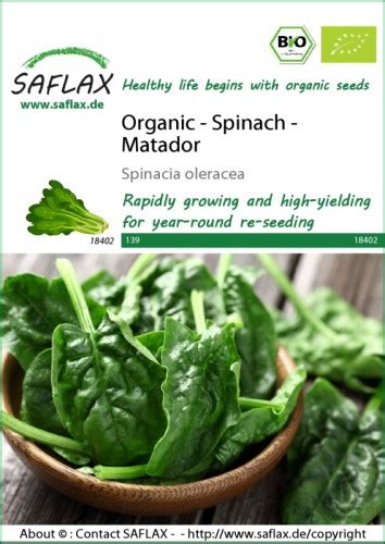 Spinach Matador Organic Seeds Irish Plants Direct